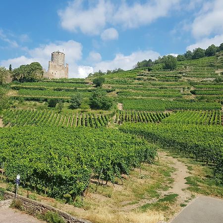 Kaysersberg City Center - Cote Vignoble - Экстерьер фото